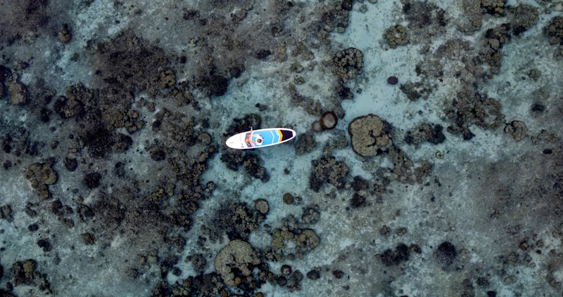 Stand Up Paddleboarding in Hawaii with Kids of All Ages