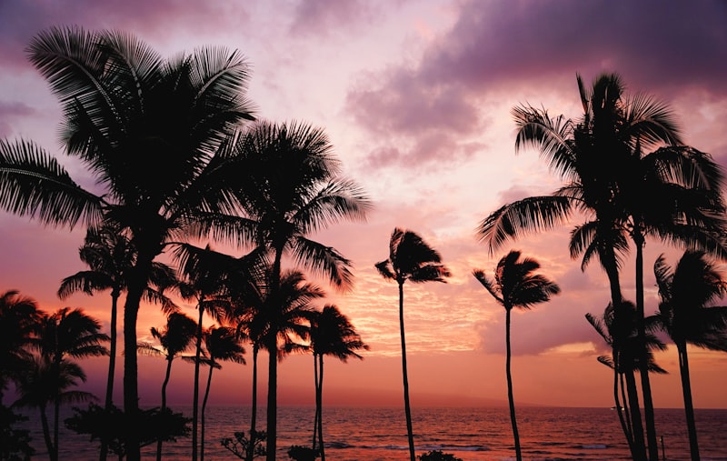 Hawaii on a Budget: 20 Money-Saving Tips from a Local Mom