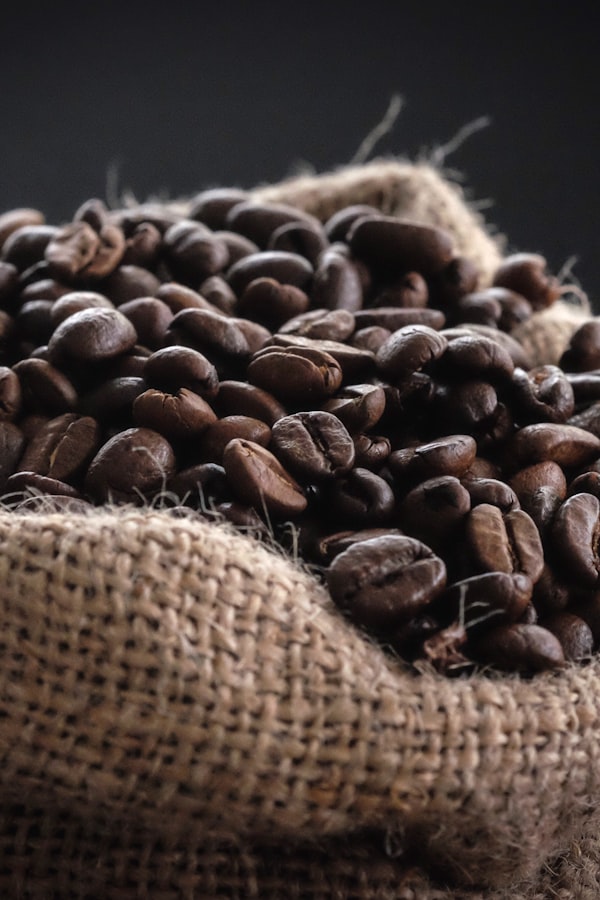 Kona coffee farm tour with kids - ripe coffee cherries on the branch in Hawaii sunshine - pin this for your Big Island family trip planning