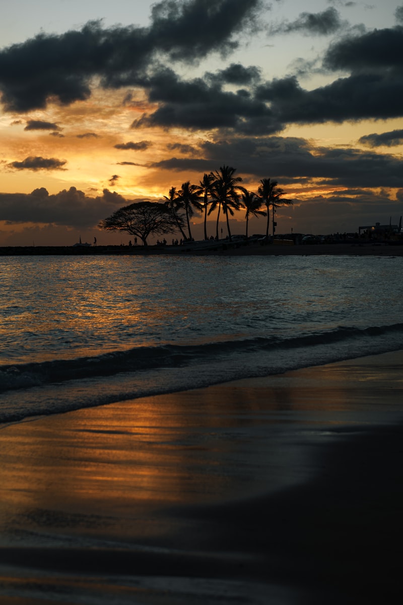 Sunset on a Hawaii beach with palm trees silhouetted against the sky