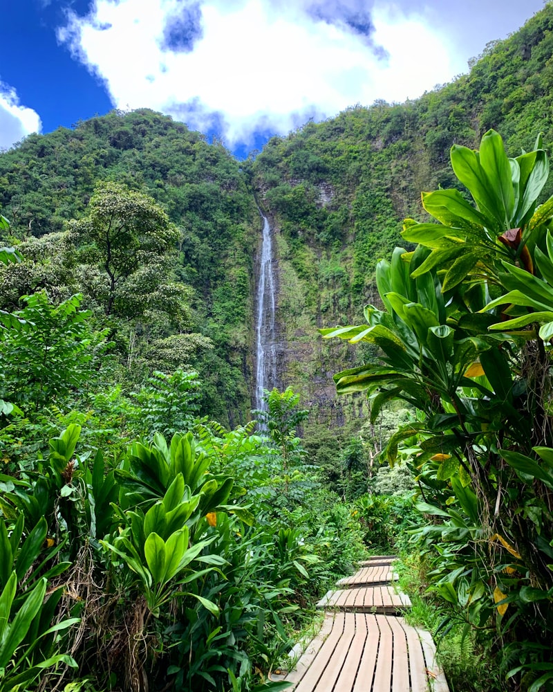 Lush waterfall along the Road to Hana in Maui