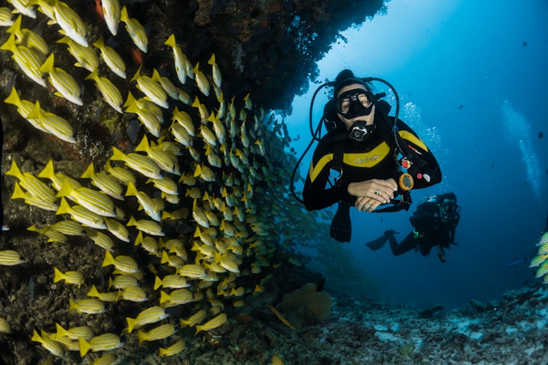 Family snorkeling in the clear blue waters off the Maui coast with tropical fish below