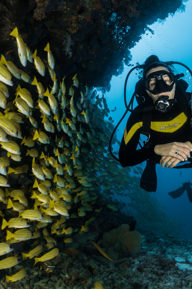 Snorkeling in Hawaii with Kids - Complete Safety and Gear Guide - Pin this guide for your next Hawaii trip