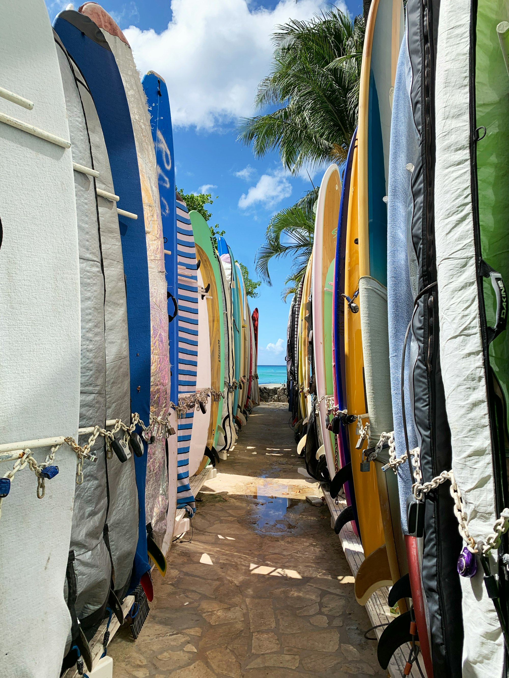 Best Surf Camps for Kids in Hawaii: Where Beginners Learn to Surf