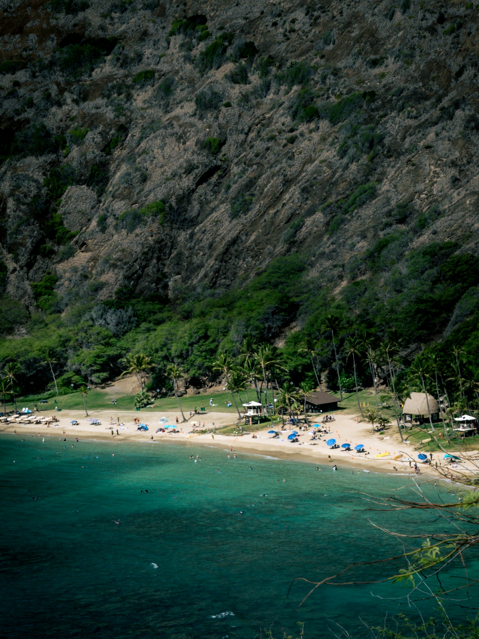 Hawaii Staycation Ideas: Mini-Vacations for Locals Without Leaving the Island